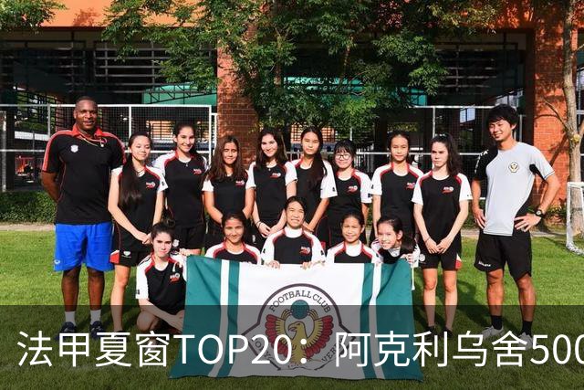 法甲夏窗TOP20：阿克利乌舍5000万欧成标王，费兰4850万欧第二